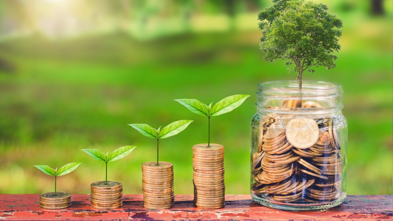 Investimentos Sustentáveis: Como e Por Que Investir em ESG